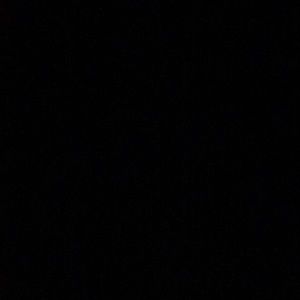 Meet your Posher, Tyson